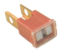FLM30